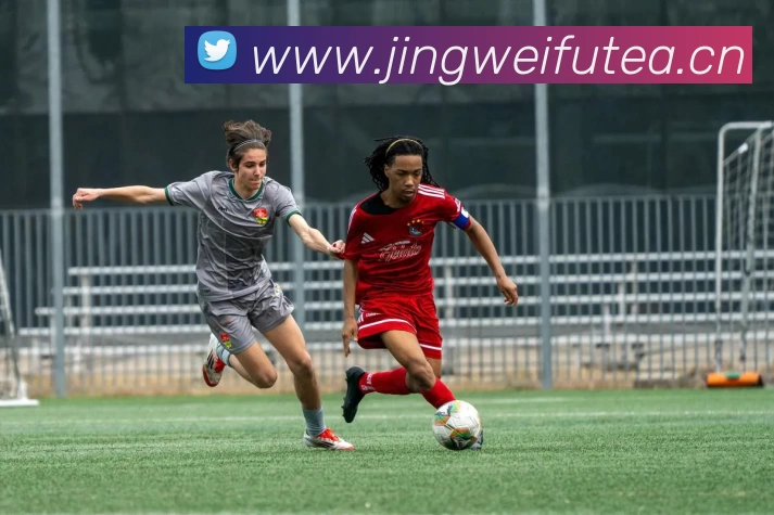 333体育平台登录官网(中国)官方网站平台生态图